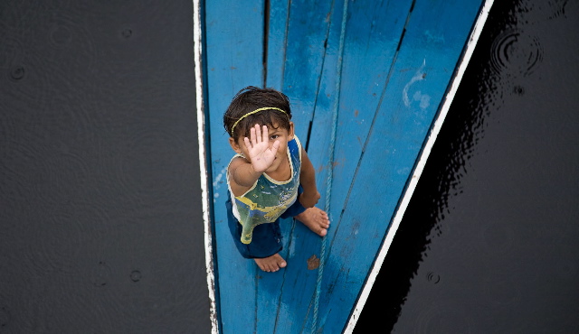 Digital Dog Photography Digital Dog Photography