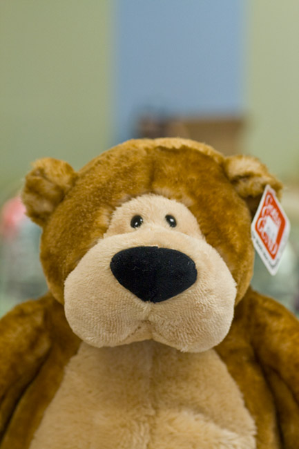 Cute as a teddy bear!