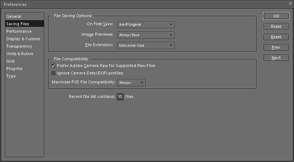Adobe Camera Raw Converter in Elements