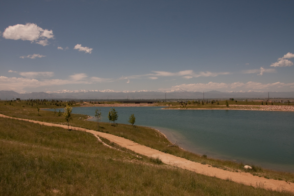 A little zoomed in at 50mm