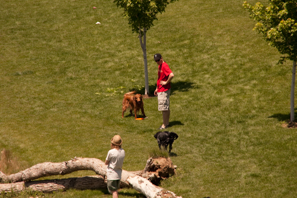 The Sigma at full zoom (250mm)