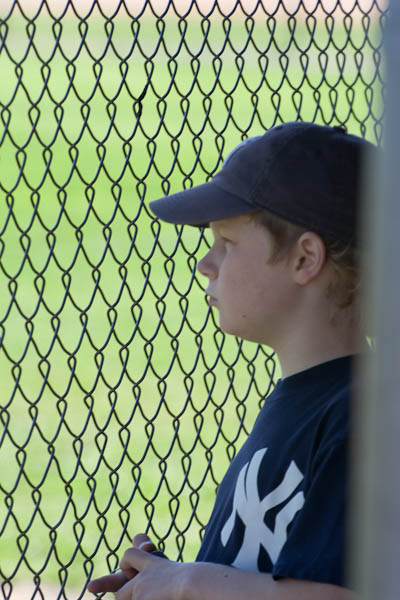 Looking through the Fenceline...