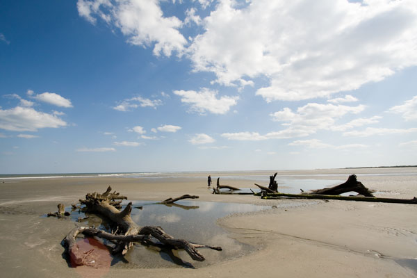 SC Beaches SC Beaches