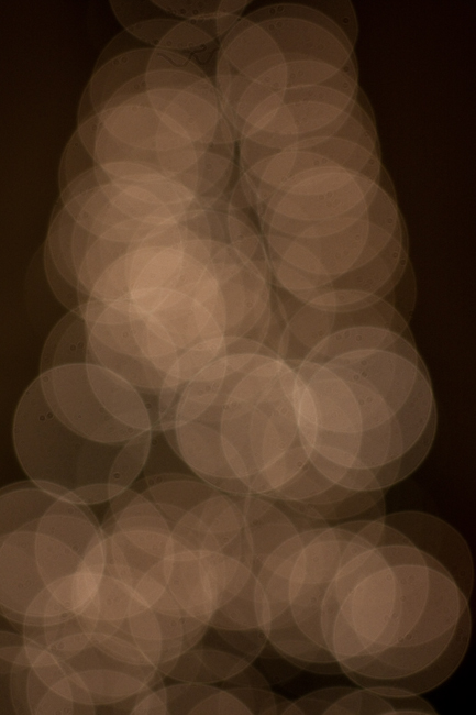 The Beauty of Bokeh #1 The Beauty of Bokeh #1