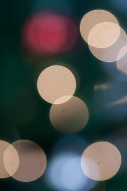 The Beauty of Bokeh #4 The Beauty of Bokeh #4