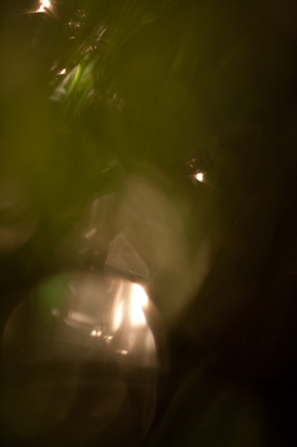 The Beauty of Bokeh #5 The Beauty of Bokeh #5