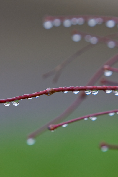 Learing Digital Photography Group Pool - January 2010 (#5) Learing Digital Photography Group Pool - January 2010 (#5)