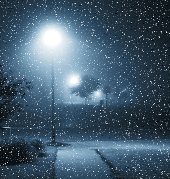 Learing Digital Photography Group Pool - January 2010 Learing Digital Photography Group Pool - January 2010