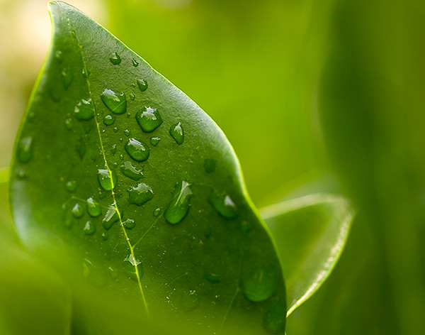 #2 (What is it about Water?) #2 (What is it about Water?)