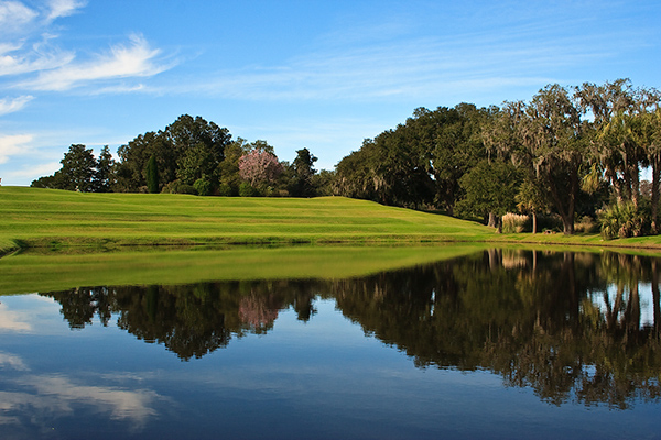 What is it about Water? What is it about Water?