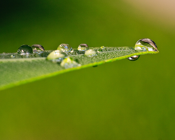 #4 (What is it about Water?) #4 (What is it about Water?)