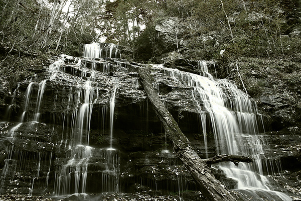 #7 (What is it about Water?) #7 (What is it about Water?)