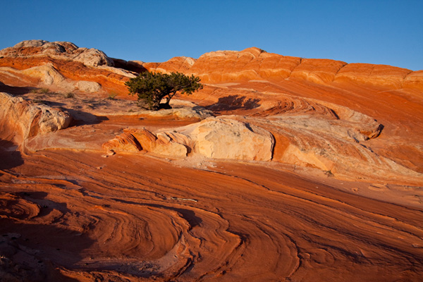 Lone Tree Hill Lone Tree Hill