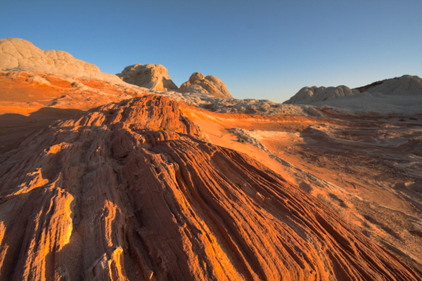 Many Lines Many Lines