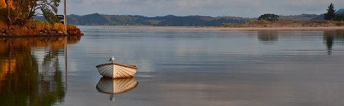 May Contest Winner - AlinNZ May Contest Winner - AlinNZ