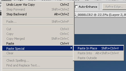Paste in Place Paste in Place