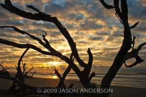 Bull Island Sunrise Bull Island Sunrise