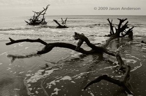 Waves and Branches Waves and Branches