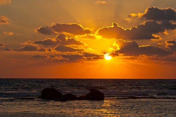 Mexican Sunrise Mexican Sunrise