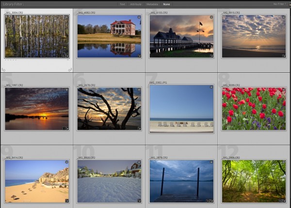 2011 Calendar Finalists