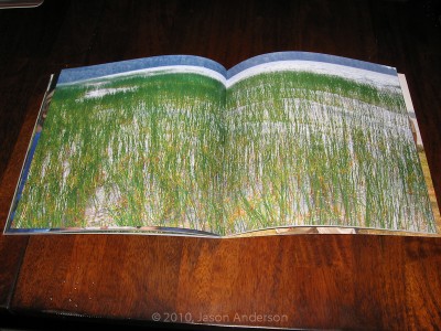 Center Fold Center Fold