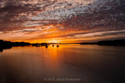 Night Owl 1 Night Owl 1