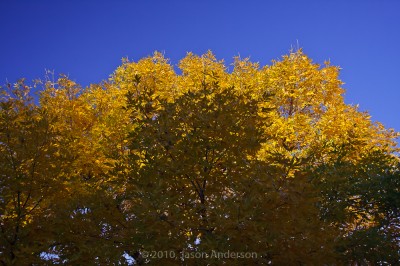 Yellow and Blue Yellow and Blue