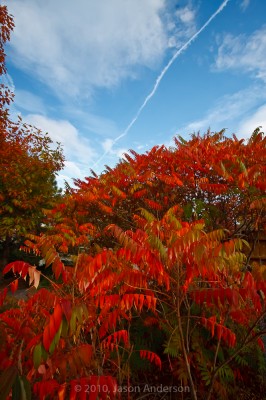 Colors Colliding Colors Colliding