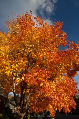 Orange, Red, and Blue Orange, Red, and Blue