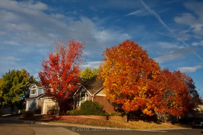 Iydillic Scene Iydillic Scene