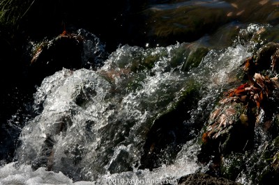 Mid-Range Landscape Mid-Range Landscape