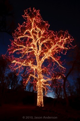 Christmas Lights at Chatfield 3