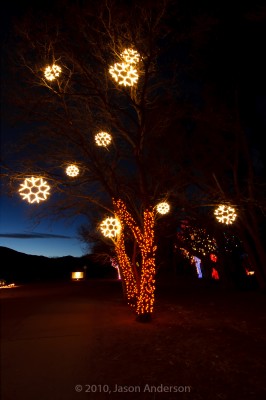 Christmas Lights at Chatfield 5
