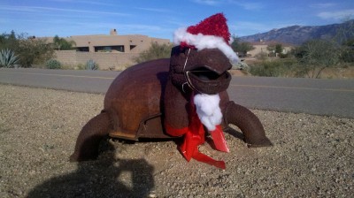 Santa Turtle