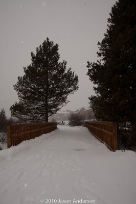 Using Flash in the Snow - #2