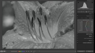 Default Black and White Adjustments Default Black and White Adjustments