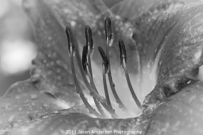 The Final Edit The Final Edit