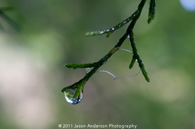Raindrops on the Street Raindrops on the Street