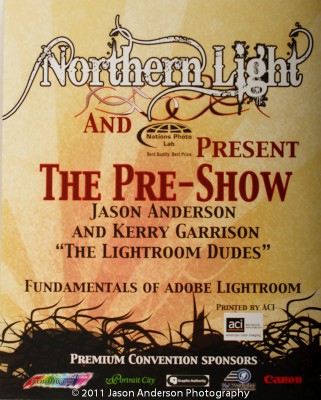 Northern Lights Poster Northern Lights Poster