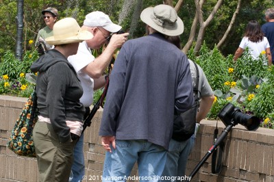 Signs of Encouragement Signs of Encouragement