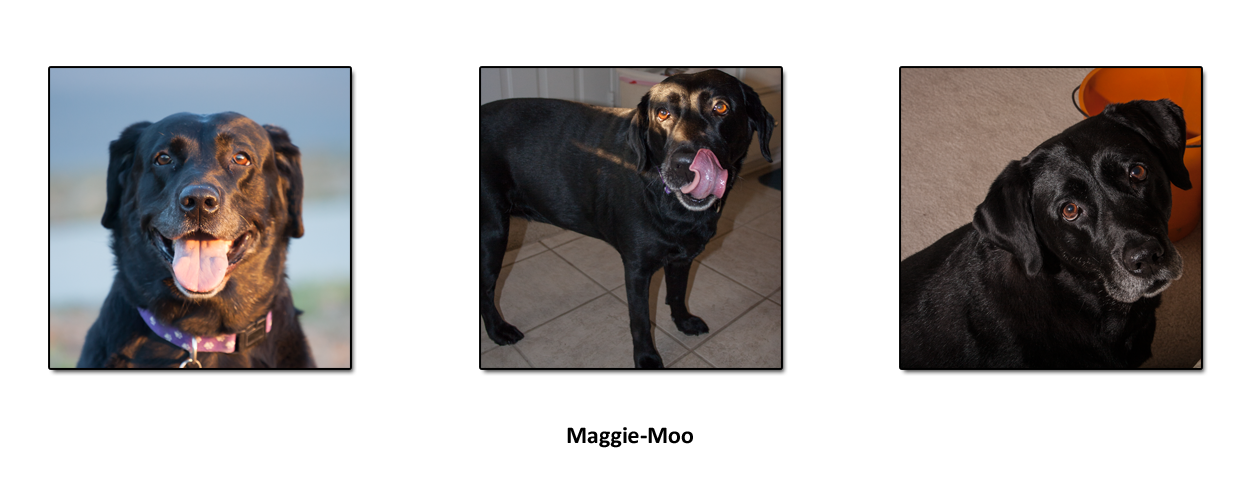 Triptych Portrait - Maggie