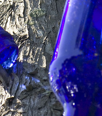 What's This? - Week 18