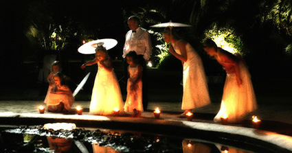 Crash Taylor Gallery