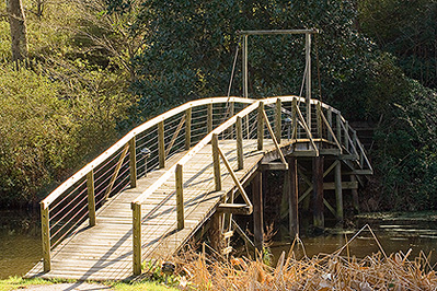 Vertical Lines on Sailboat