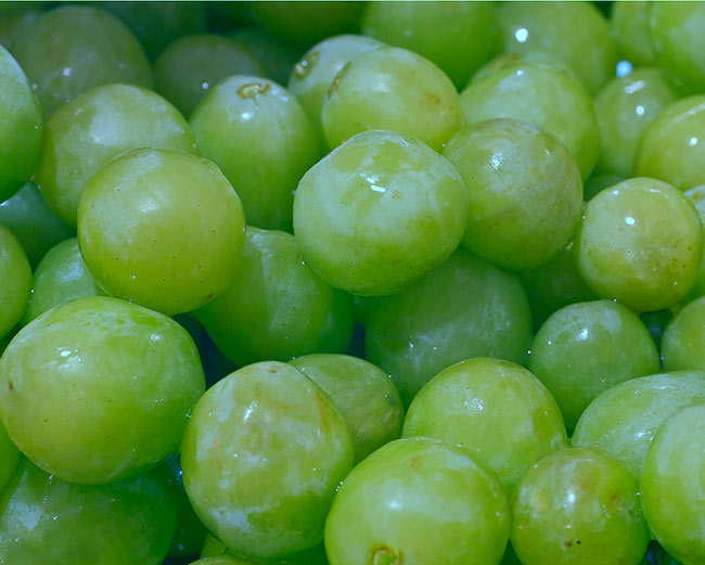 Grapes Galore!