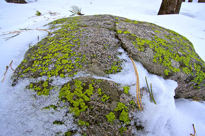 What is it about Rocks - Set