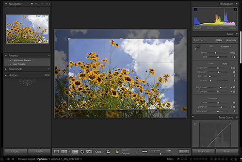 LR Rule of Thirds Grid